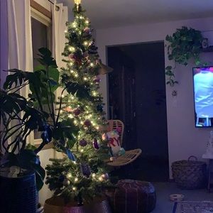 Meet your Posher, Courtney